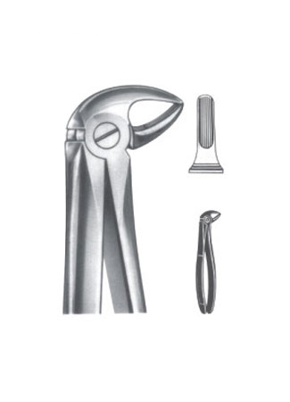 Extracting Forceps - English Patternx