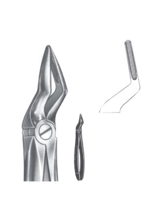 Extracting Forceps - English Pattern 