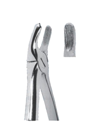 Extracting Forceps For Children - English Pattern 