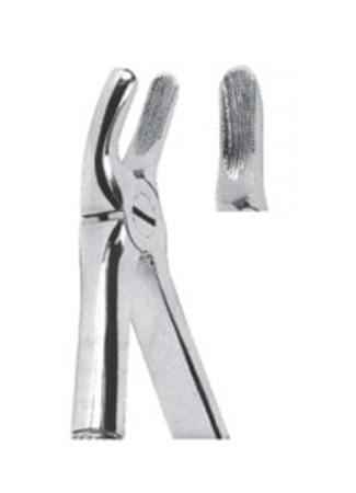 Extracting Forceps For Children - English Pattern 