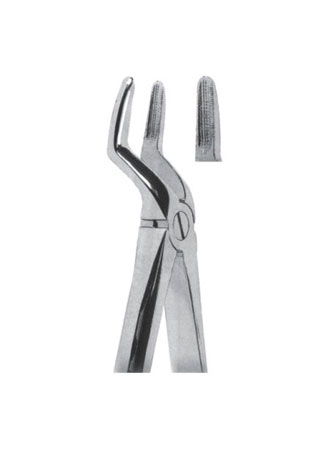 Extracting Forceps - English Pattern