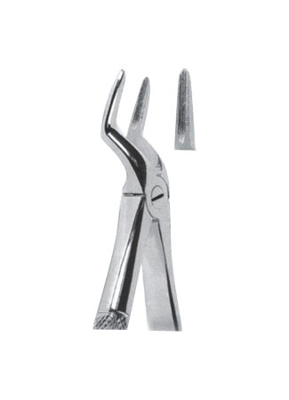 Extracting Forceps - English Pattern 