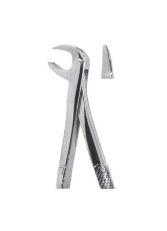 Extracting Forceps - English Pattern 1077