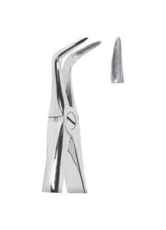 Extracting Forceps With Anatomically Shapad Handl 