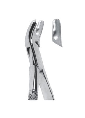Extracting Forceps - American Pattern 