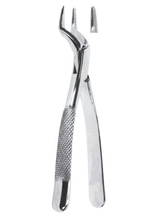 Extracting Forceps - American Pattern
