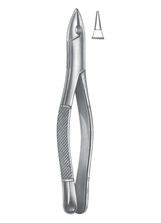 Extracting Forceps - American Pattern