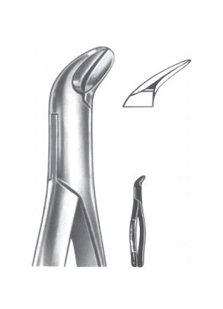 Extracting Forceps - American Pattern 