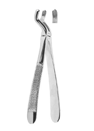 1-Extracting Forceps - English Pattern 